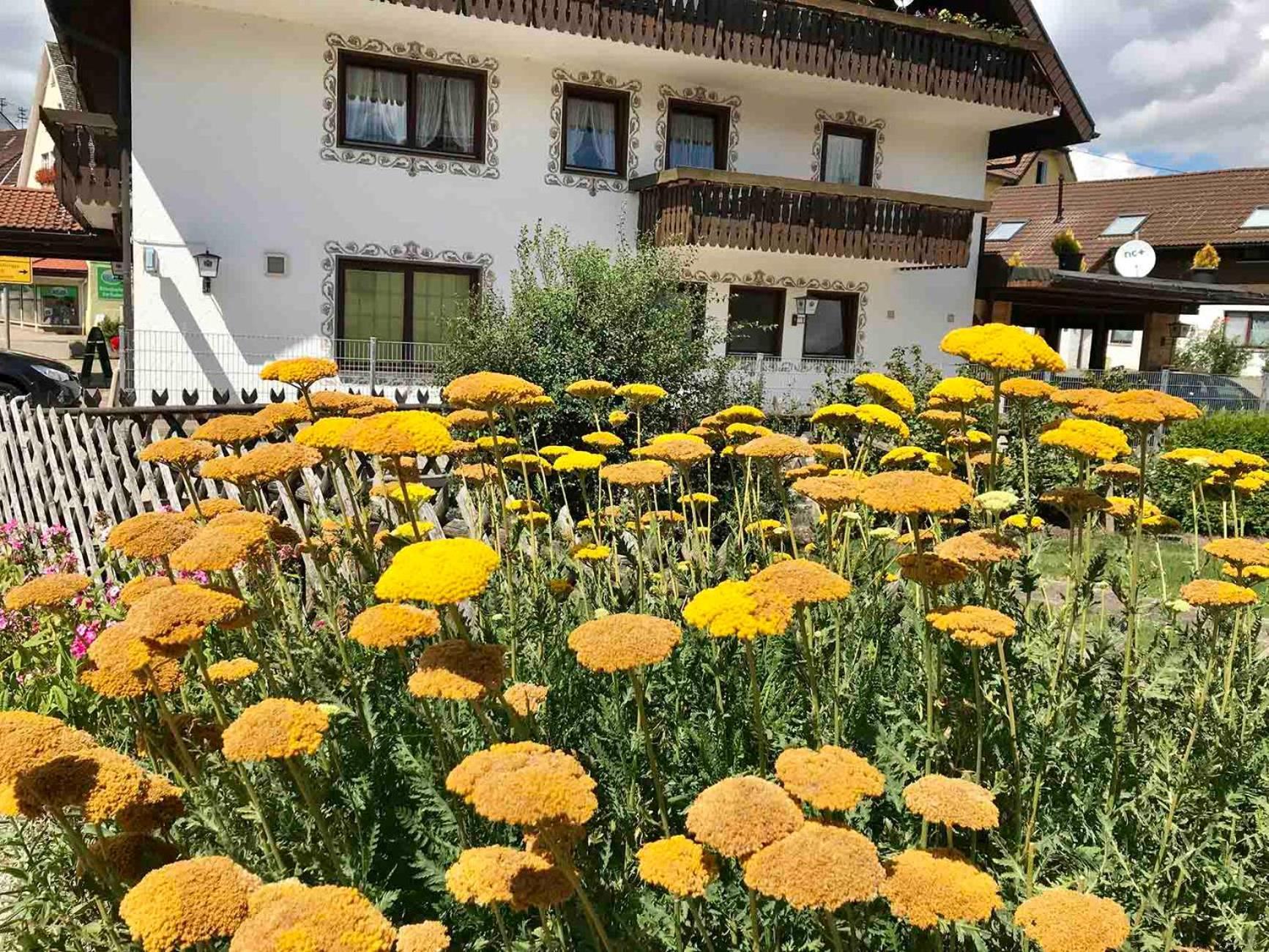 Gaestehaus Roessle Rötenbach المظهر الخارجي الصورة